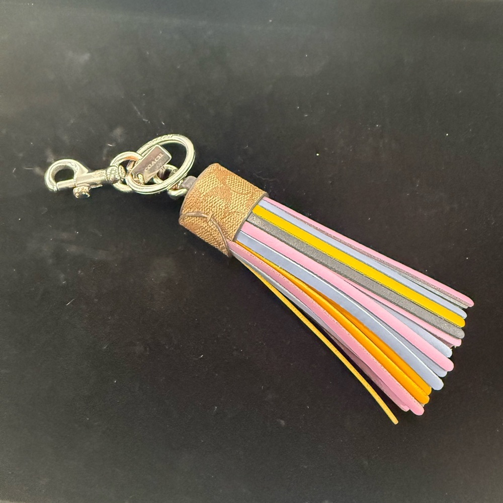Coach Large Leather Tassel Bag Charm with Silver Hardware - Picture 1 of 7